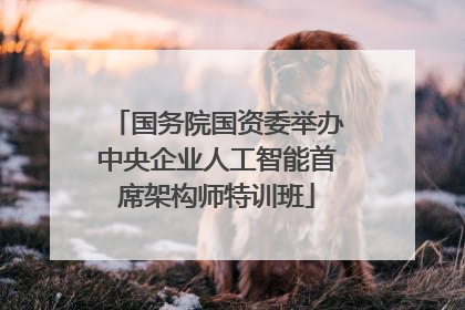 国务院国资委举办中央企业人工智能首席架构师特训班