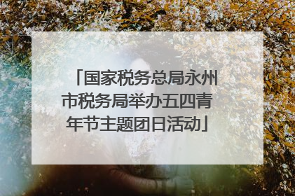 国家税务总局永州市税务局举办五四青年节主题团日活动