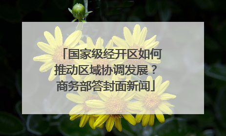 国家级经开区如何推动区域协调发展？商务部答封面新闻