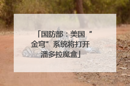 国防部：美国“金穹”系统将打开潘多拉魔盒
