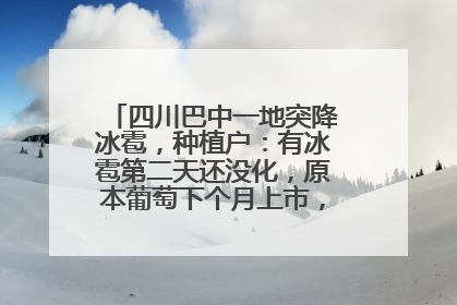 四川巴中一地突降冰雹，种植户：有冰雹第二天还没化，原本葡萄下个月上市，现在全被打落