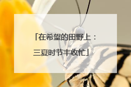 在希望的田野上：三夏时节丰收忙