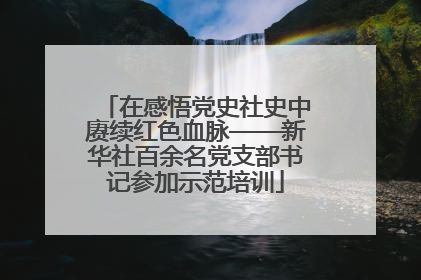 在感悟党史社史中赓续红色血脉——新华社百余名党支部书记参加示范培训