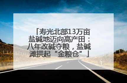 寿光北部13万亩盐碱地迈向高产田：八年改碱夺粮，盐碱滩拱起“金粮仓”