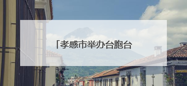 孝感市举办台胞台属端午联谊暨“美丽孝感行”活动