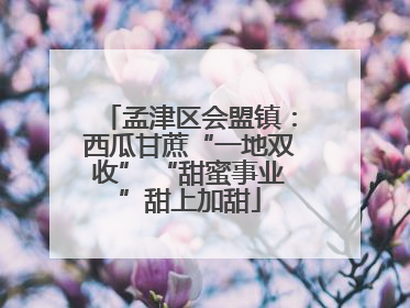孟津区会盟镇：西瓜甘蔗“一地双收” “甜蜜事业”甜上加甜
