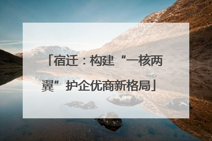 宿迁：构建“一核两翼”护企优商新格局