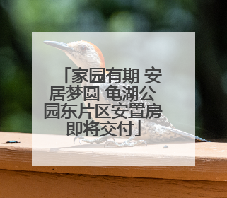 家园有期 安居梦圆 龟湖公园东片区安置房即将交付