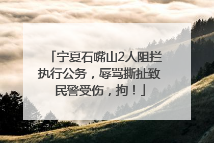 宁夏石嘴山2人阻拦执行公务，辱骂撕扯致民警受伤，拘！
