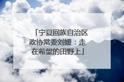 宁夏回族自治区政协常委刘媛：走在希望的田野上