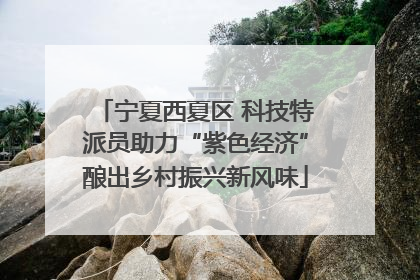 宁夏西夏区 科技特派员助力“紫色经济”酿出乡村振兴新风味