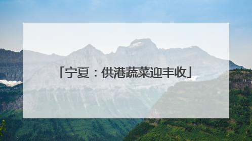 宁夏：供港蔬菜迎丰收