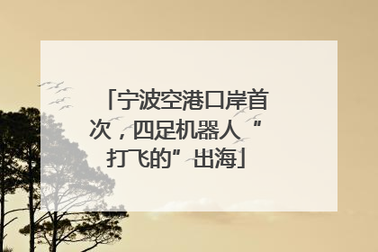 宁波空港口岸首次，四足机器人“打飞的”出海