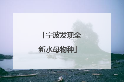 宁波发现全新水母物种