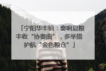 宁阳华丰镇：奏响夏粮丰收“协奏曲”，多举措护航“金色粮仓”