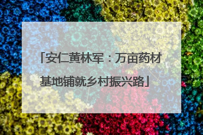 安仁黄林军：万亩药材基地铺就乡村振兴路