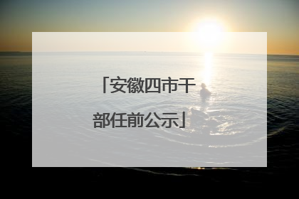 安徽四市干部任前公示