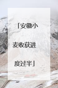 安徽小麦收获进度过半