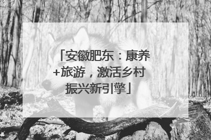 安徽肥东：康养+旅游，激活乡村振兴新引擎
