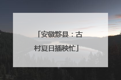安徽黟县：古村夏日插秧忙