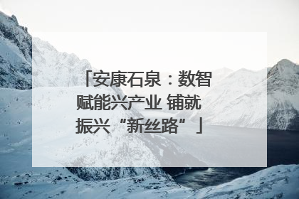 安康石泉：数智赋能兴产业 铺就振兴“新丝路”