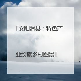 安阳滑县：特色产业绘就乡村图景