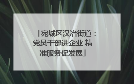 宛城区汉冶街道：党员干部进企业 精准服务促发展