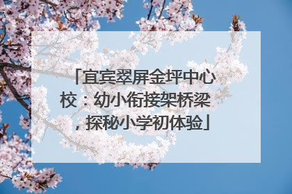 宜宾翠屏金坪中心校：幼小衔接架桥梁，探秘小学初体验