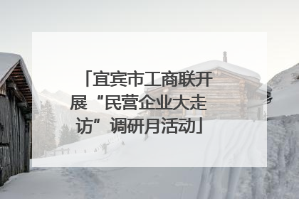 宜宾市工商联开展“民营企业大走访”调研月活动