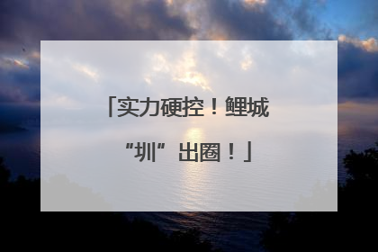 实力硬控！鲤城“圳”出圈！