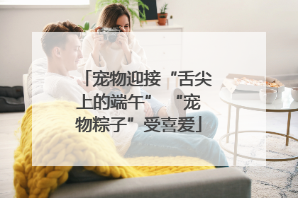 宠物迎接“舌尖上的端午” “宠物粽子”受喜爱