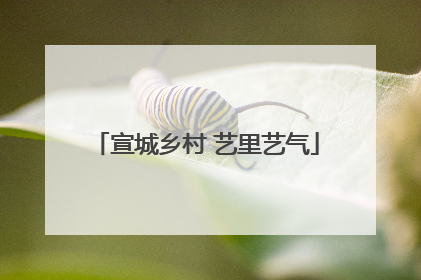 宣城乡村 艺里艺气