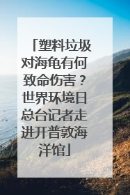 塑料垃圾对海龟有何致命伤害？世界环境日总台记者走进开普敦海洋馆