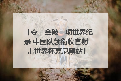 夺一金破一项世界纪录 中国队领衔收官射击世界杯慕尼黑站
