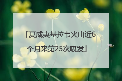 夏威夷基拉韦火山近6个月来第25次喷发