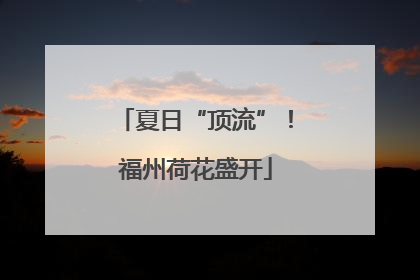 夏日“顶流”！福州荷花盛开
