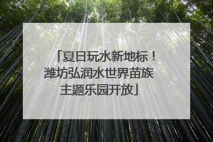夏日玩水新地标！潍坊弘润水世界苗族主题乐园开放