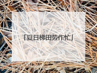 夏日梯田劳作忙