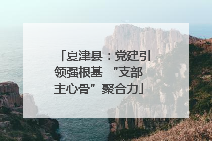 夏津县：党建引领强根基 “支部主心骨”聚合力