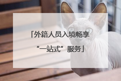 外籍人员入境畅享“一站式”服务