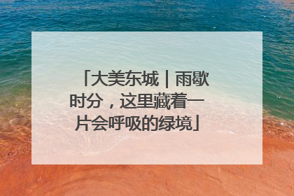 大美东城｜雨歇时分，这里藏着一片会呼吸的绿境