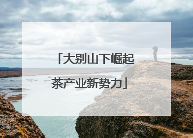 大别山下崛起茶产业新势力