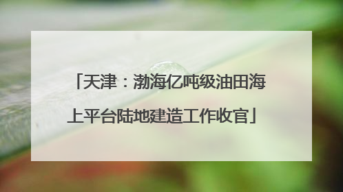 天津：渤海亿吨级油田海上平台陆地建造工作收官
