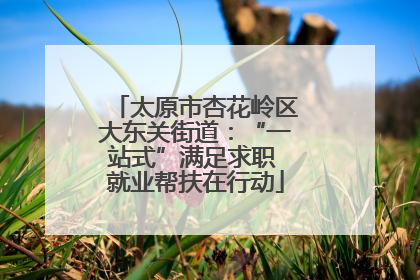 太原市杏花岭区大东关街道：“一站式”满足求职 就业帮扶在行动