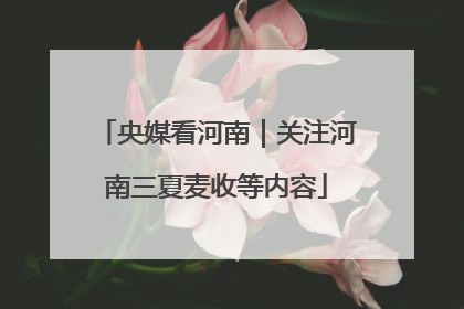 央媒看河南｜关注河南三夏麦收等内容