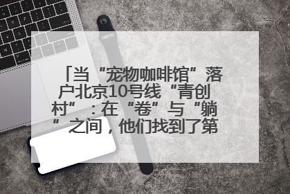 当“宠物咖啡馆”落户北京10号线“青创村”：在“卷”与“躺”之间，他们找到了第三种生活公式