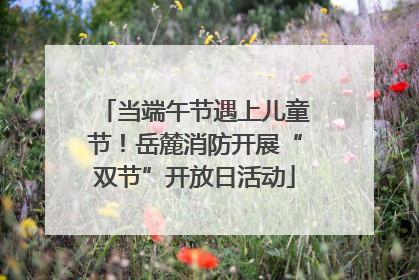 当端午节遇上儿童节！岳麓消防开展“双节”开放日活动
