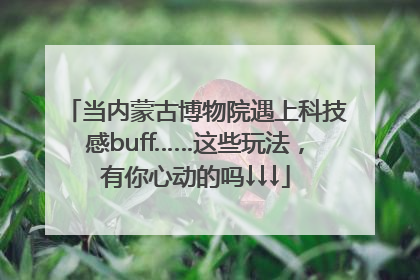 当内蒙古博物院遇上科技感buff……这些玩法，有你心动的吗↓↓↓