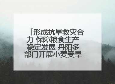 形成抗旱救灾合力 保障粮食生产稳定发展 丹阳多部门开展小麦受旱情况调研