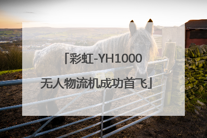 彩虹-YH1000无人物流机成功首飞